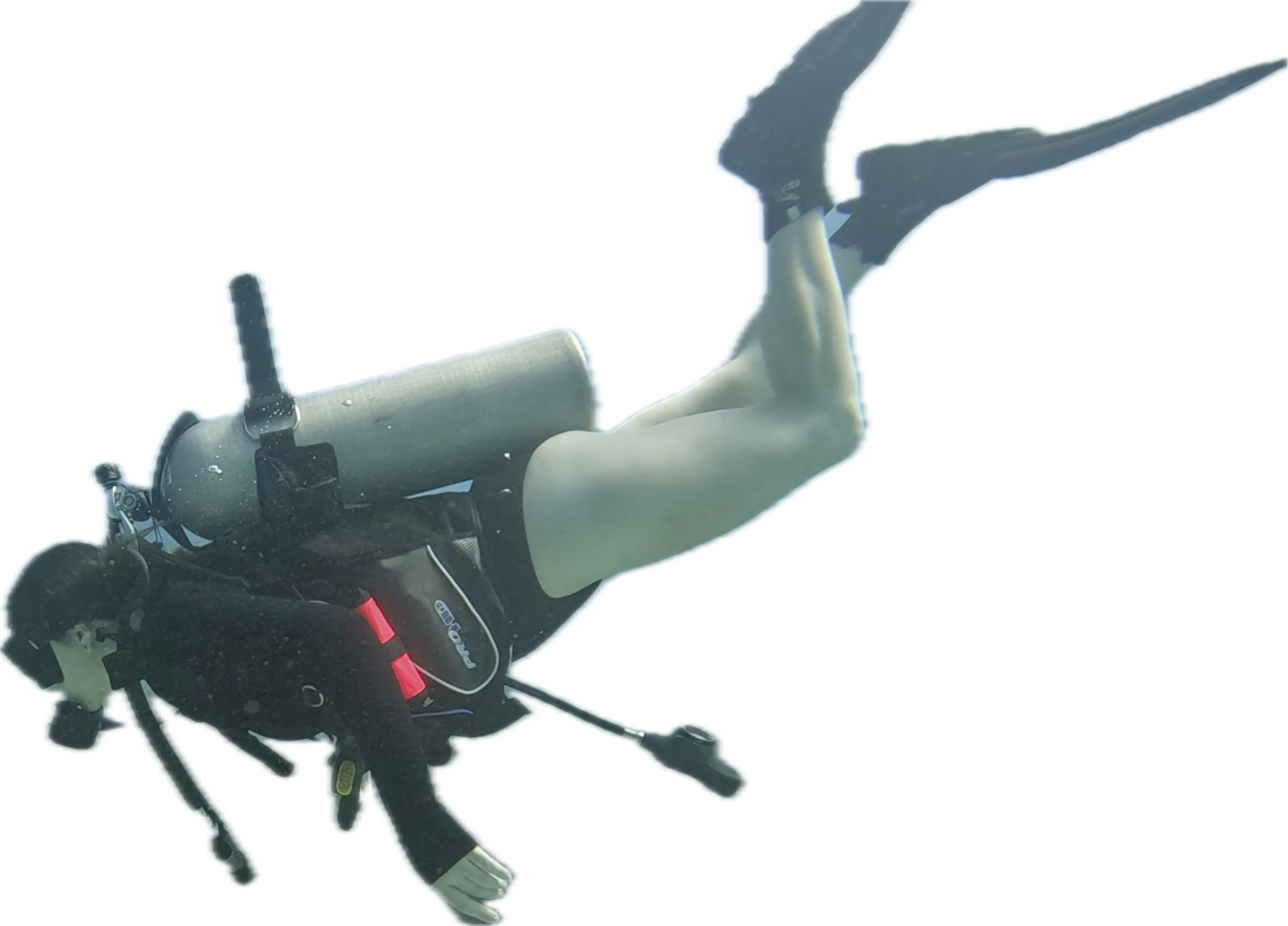 Image of a diver in scuba gear
